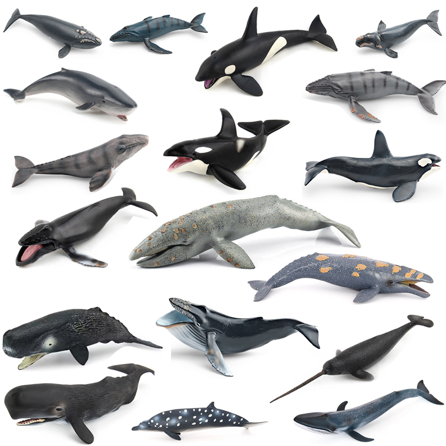 Kids Education Product - Model Hewan Laut Realistis: Paus Humpback,