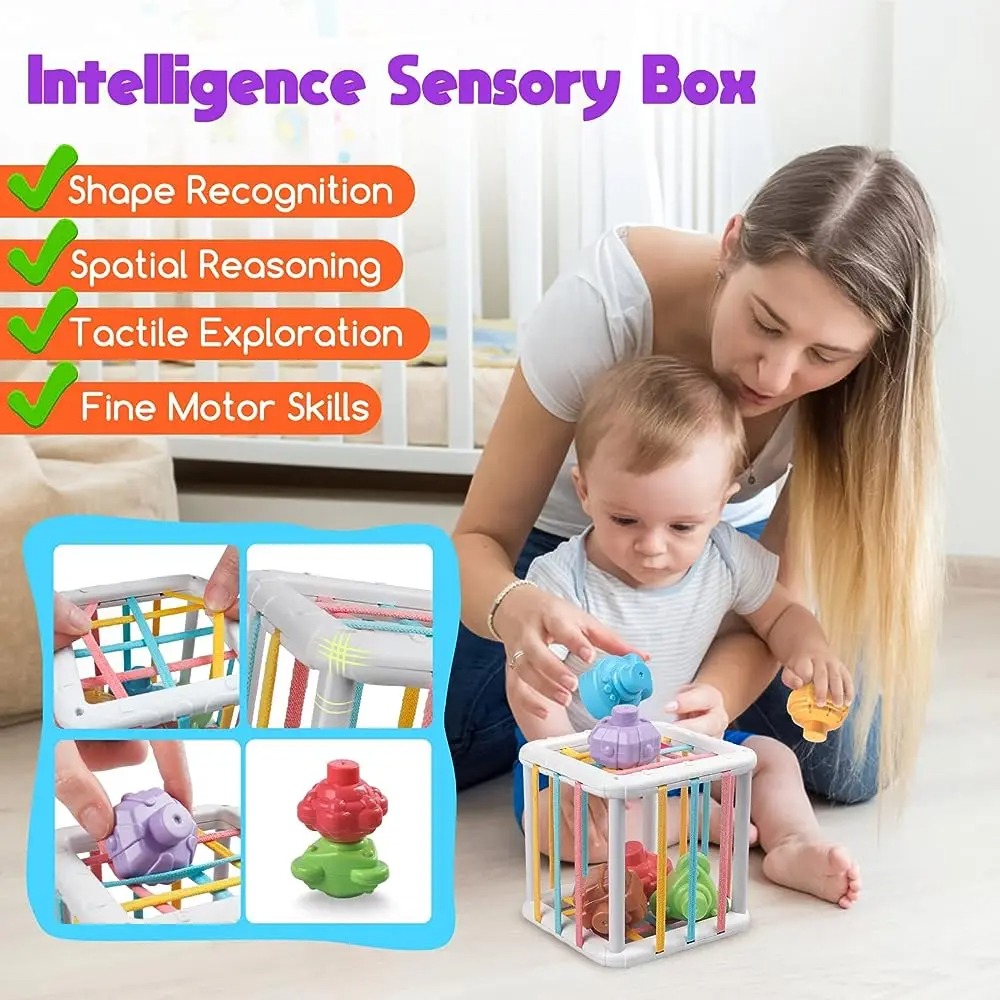 Mainan Edukasi Kognitif Pelati - Kids Education Product ulasan dan harga