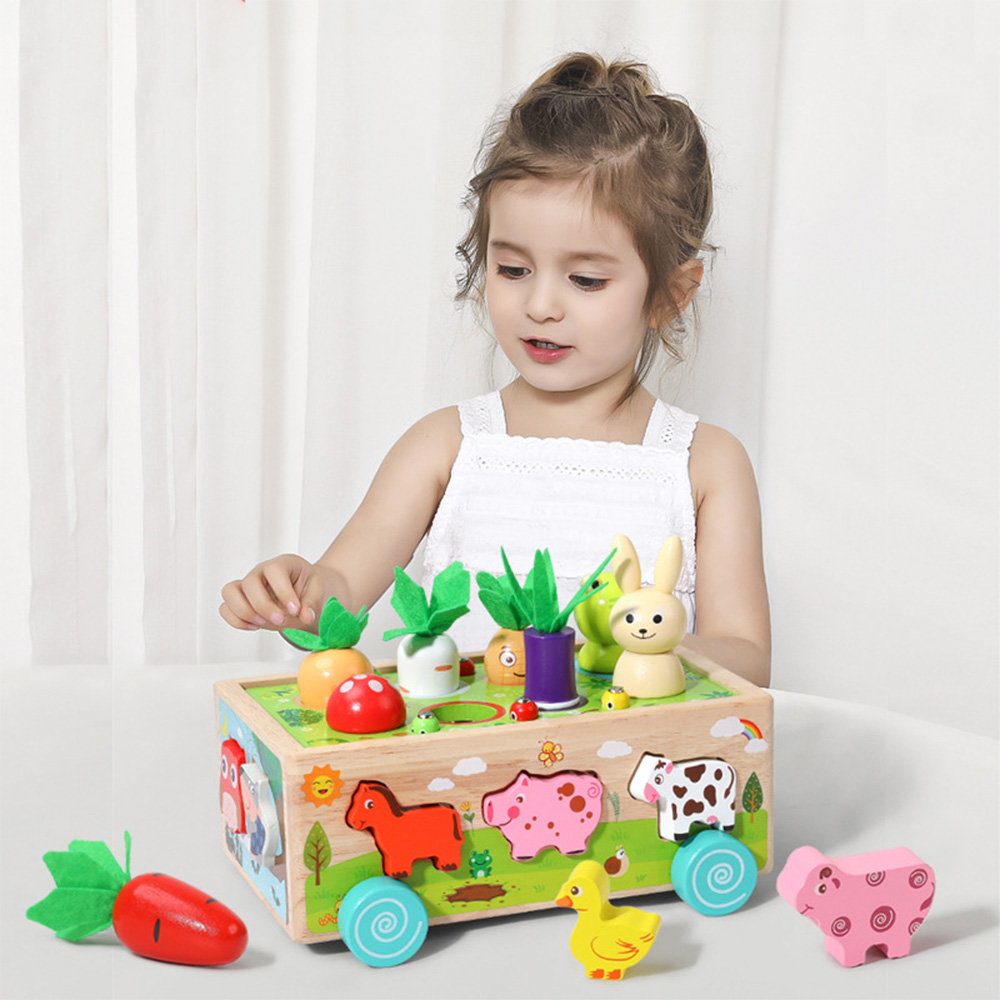 Berbagai bentuk kayu cocok unt - Kids Nature Education ulasan dan harga